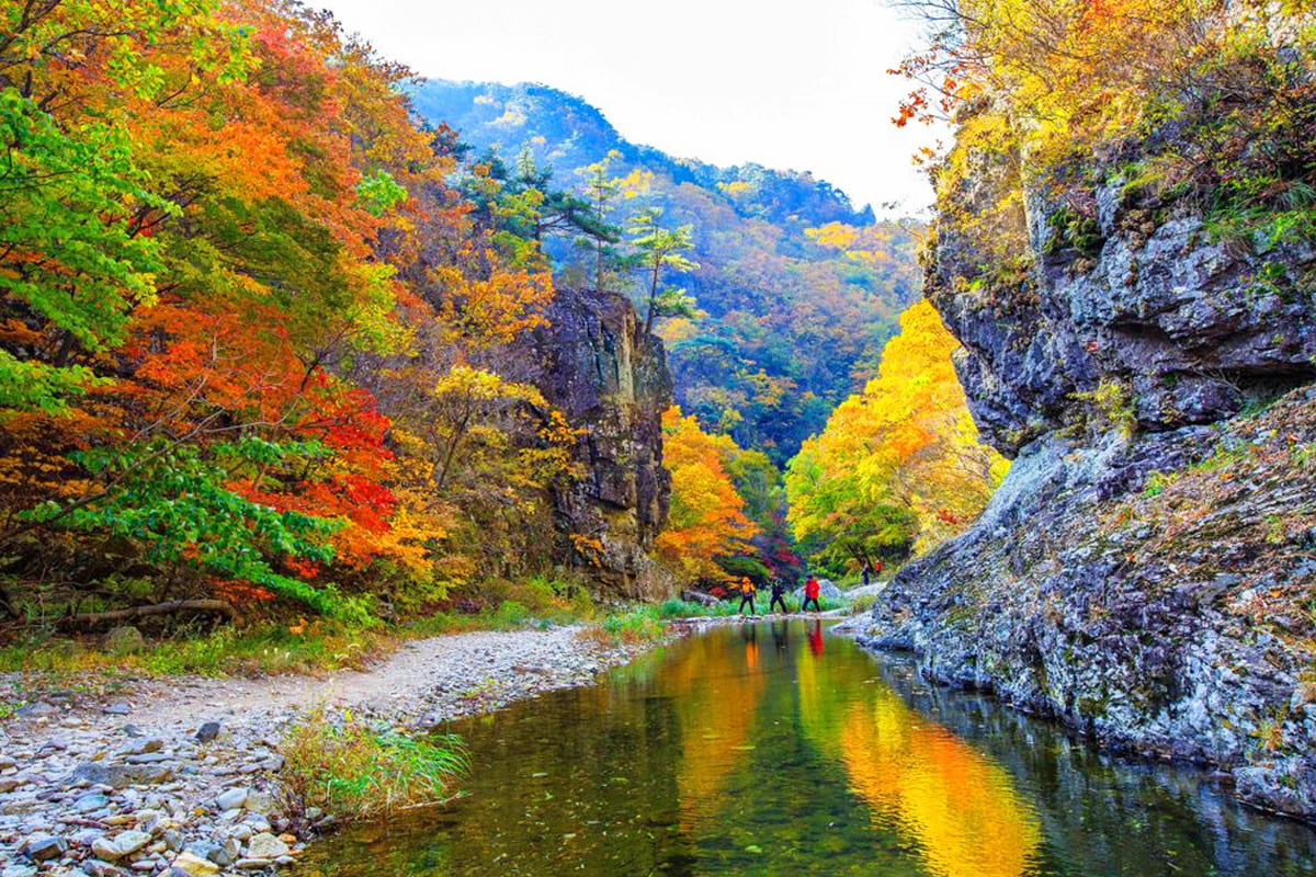 경북 주왕산 산책로 가을 풍경