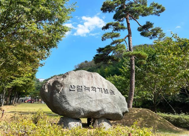 한국일보