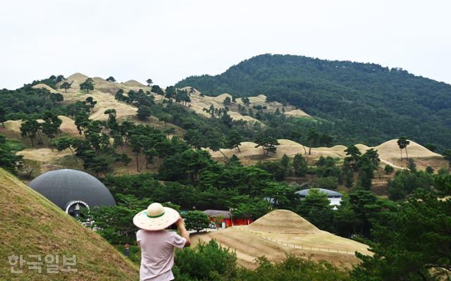 한국일보