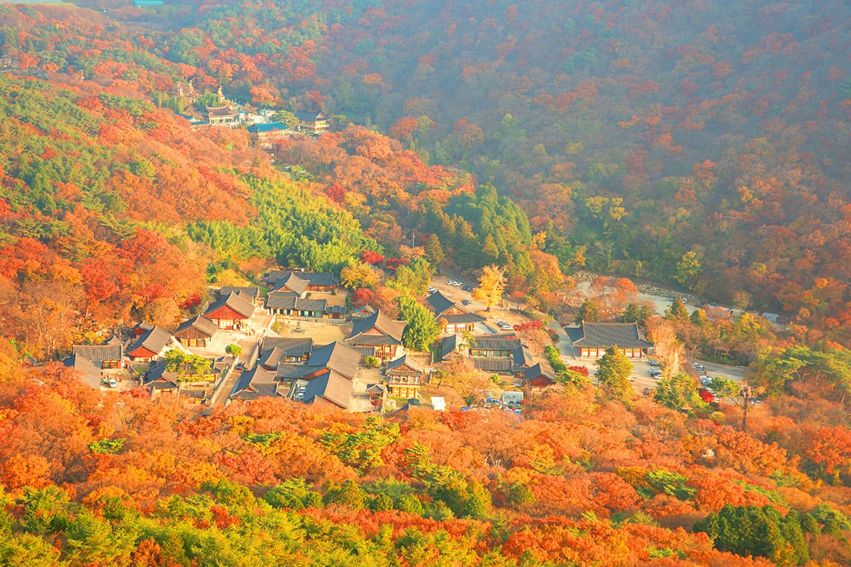 범어사 가을 전경 