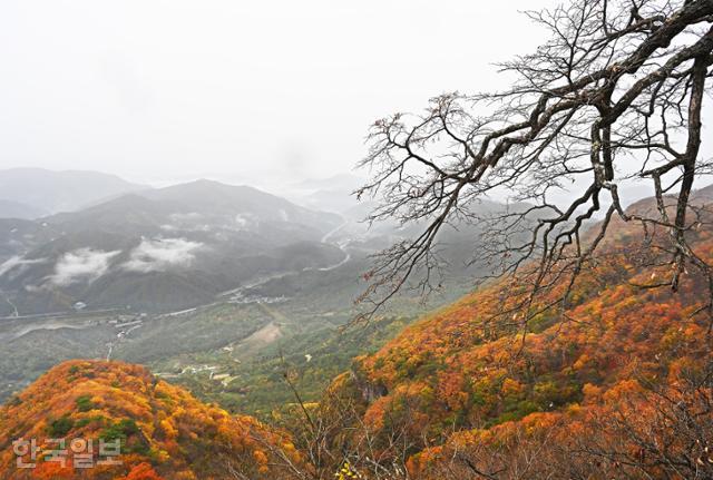 한국일보