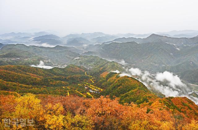 한국일보