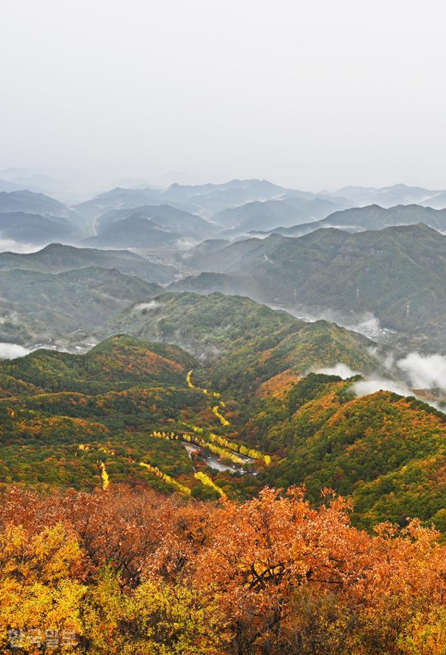 한국일보