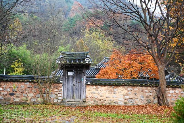 한국일보