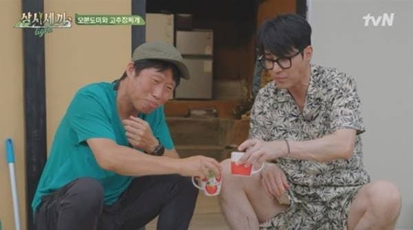 tvN '삼시세끼 라이트'