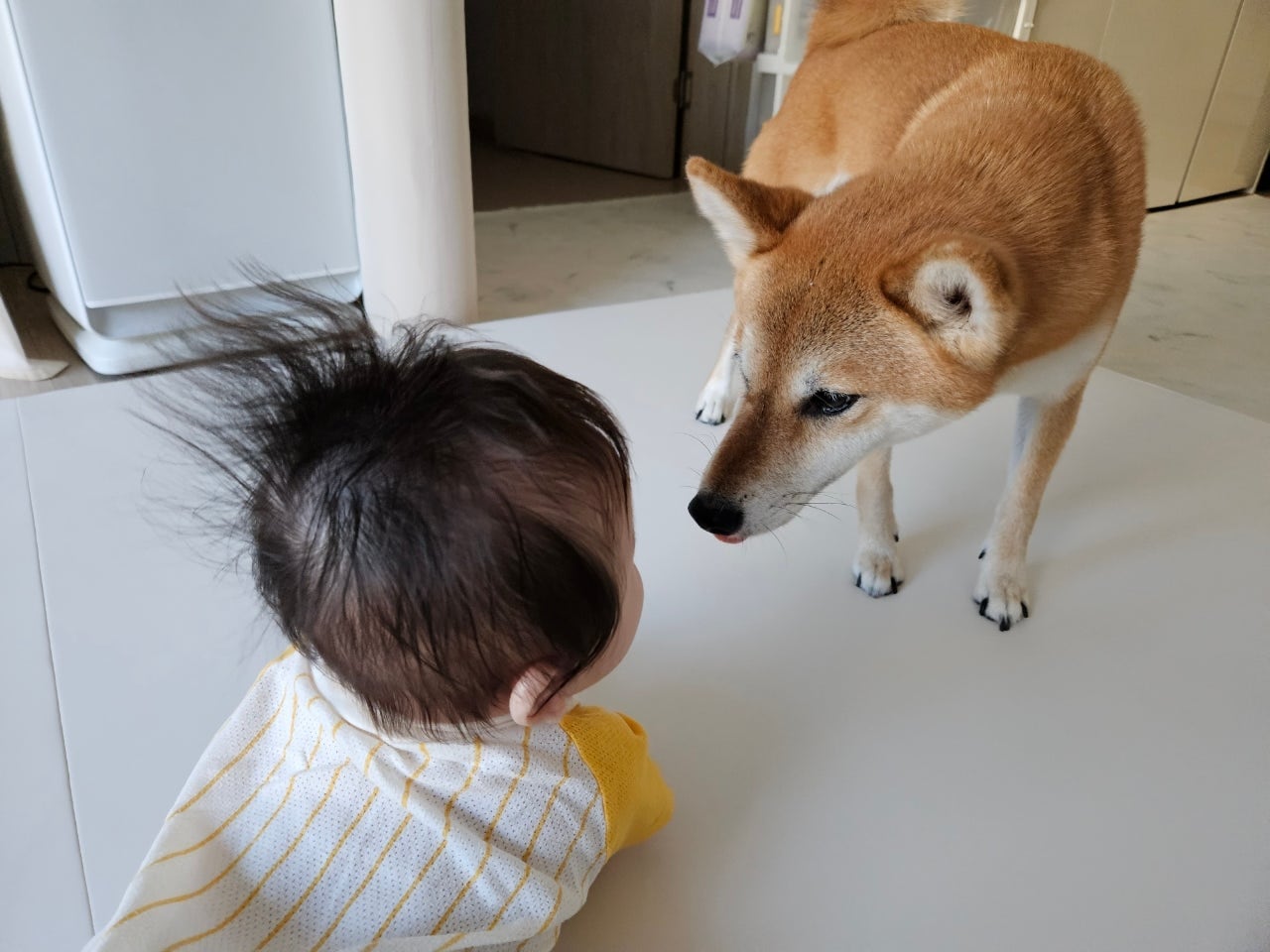 조선일보