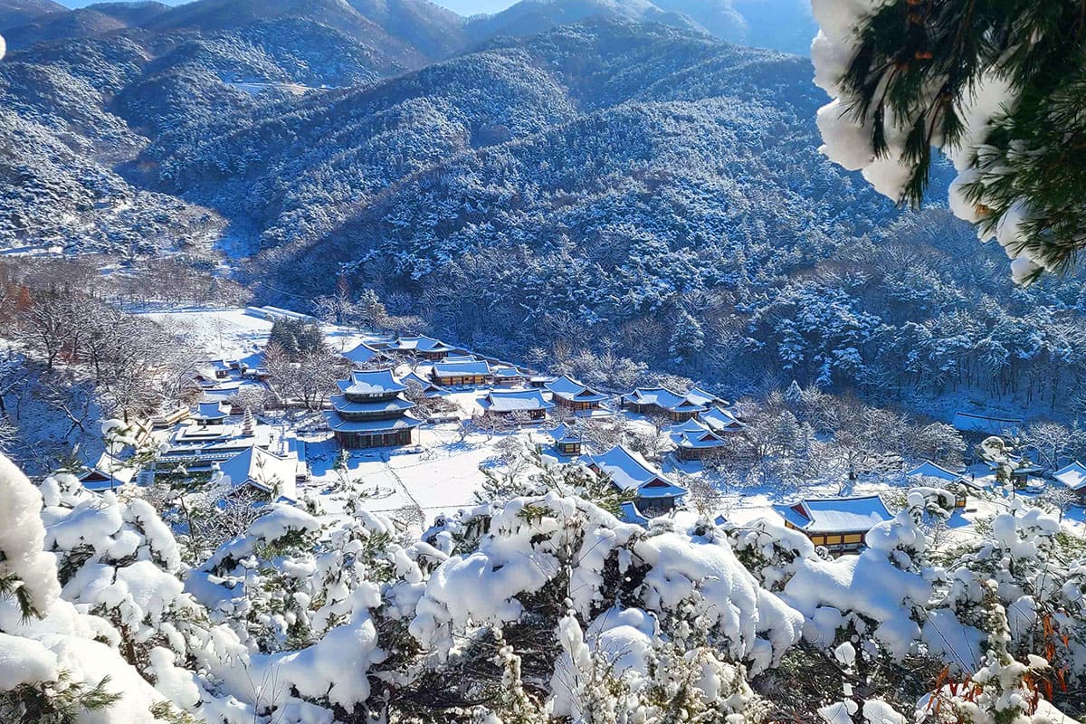 겨울 왕국 금산사 