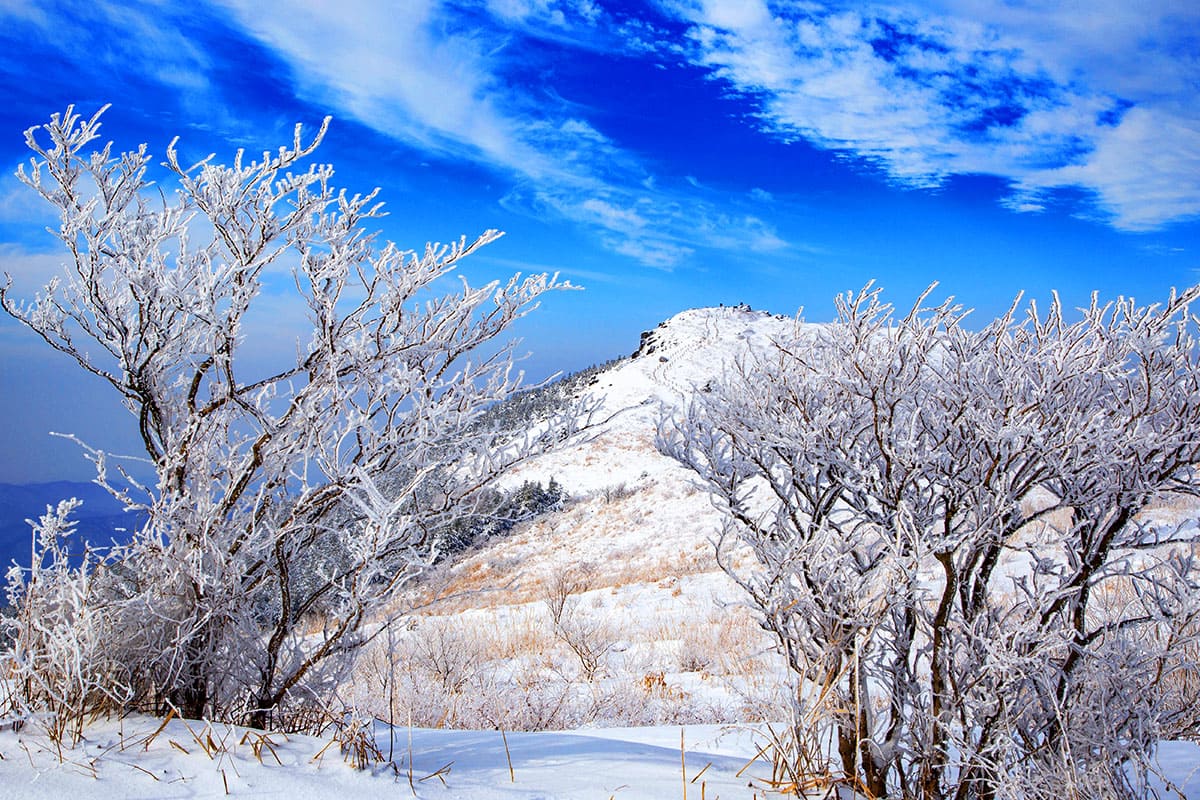 설산 무등산 