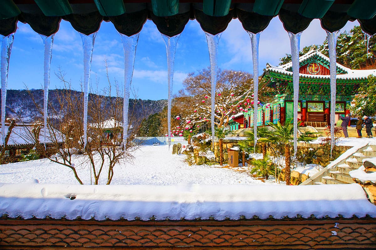 만연사 설경 