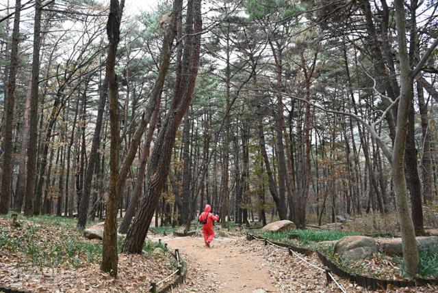 한국일보