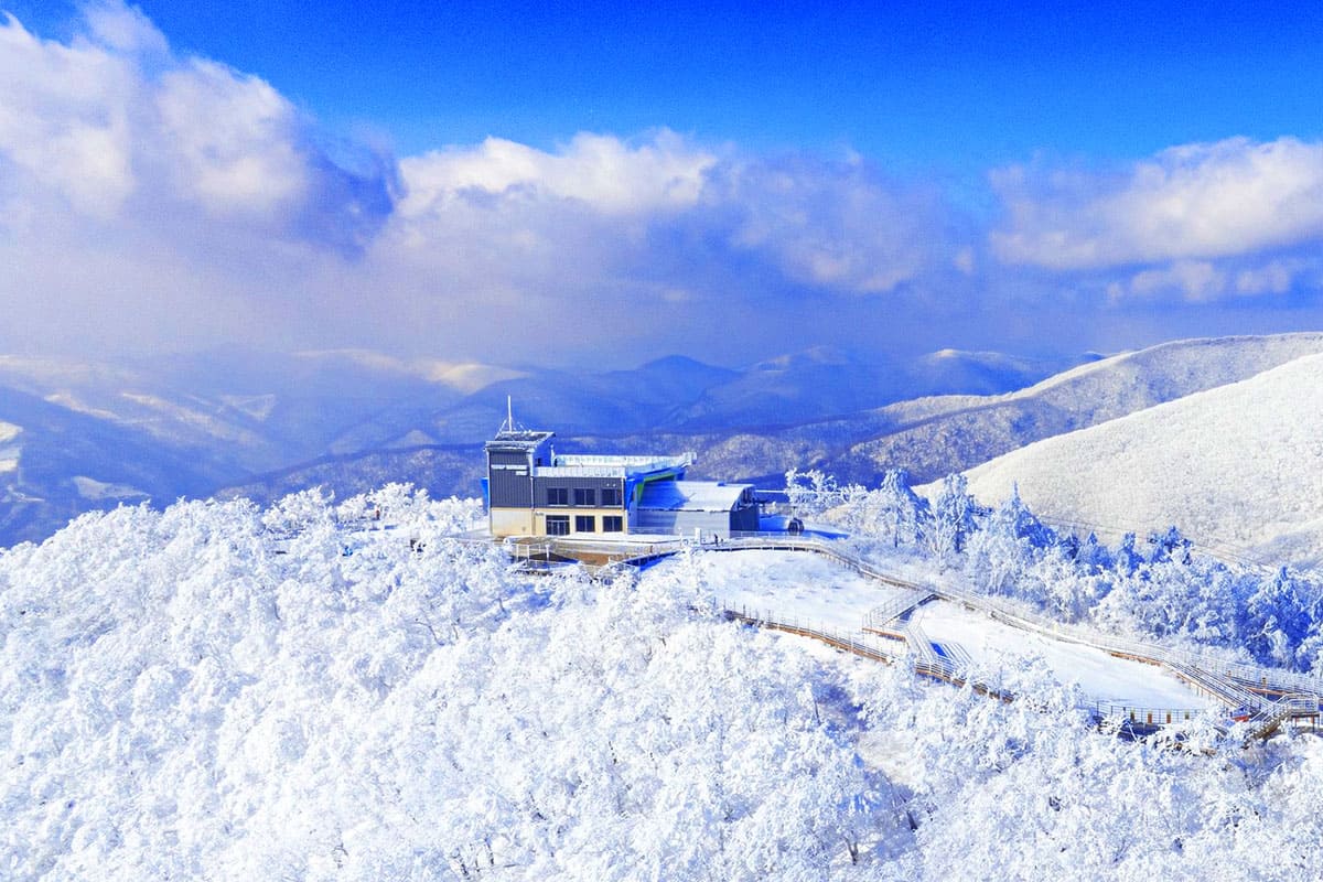 겨울 시즌 가리왕산 케이블카 