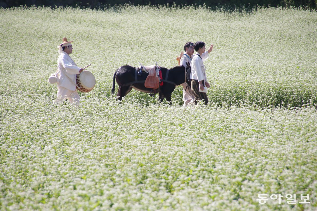 동아일보