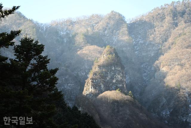 한국일보