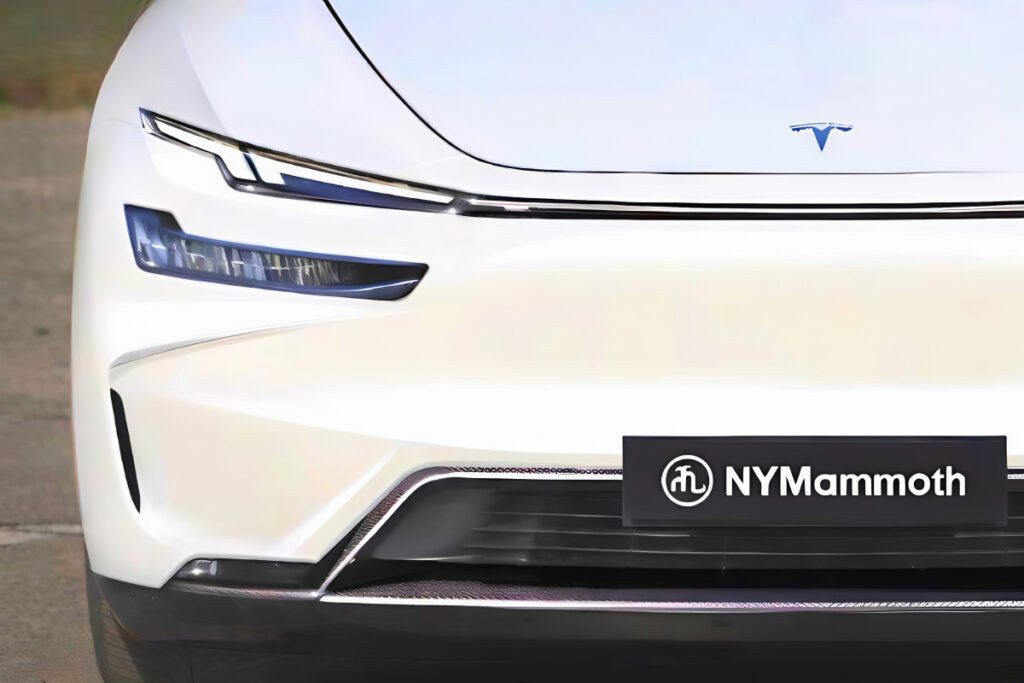 Tesla Model Y Juniper Projection (4)