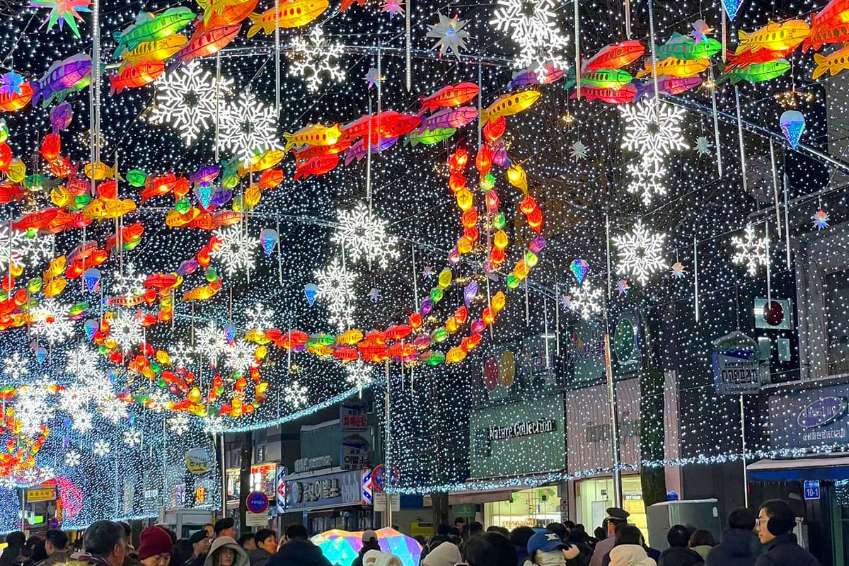 화천산천어축제 선등거리