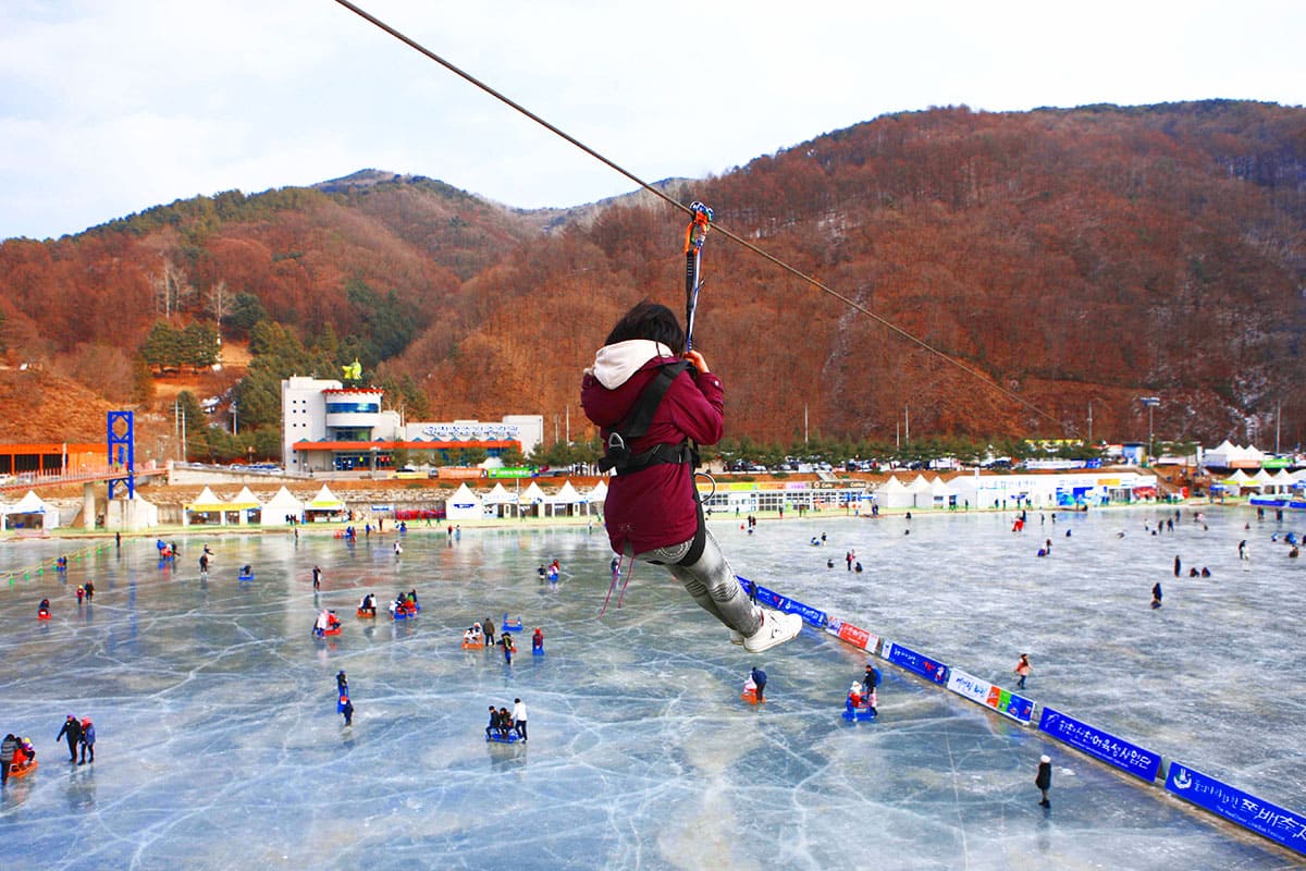 화천산천어축제 짚와이어 