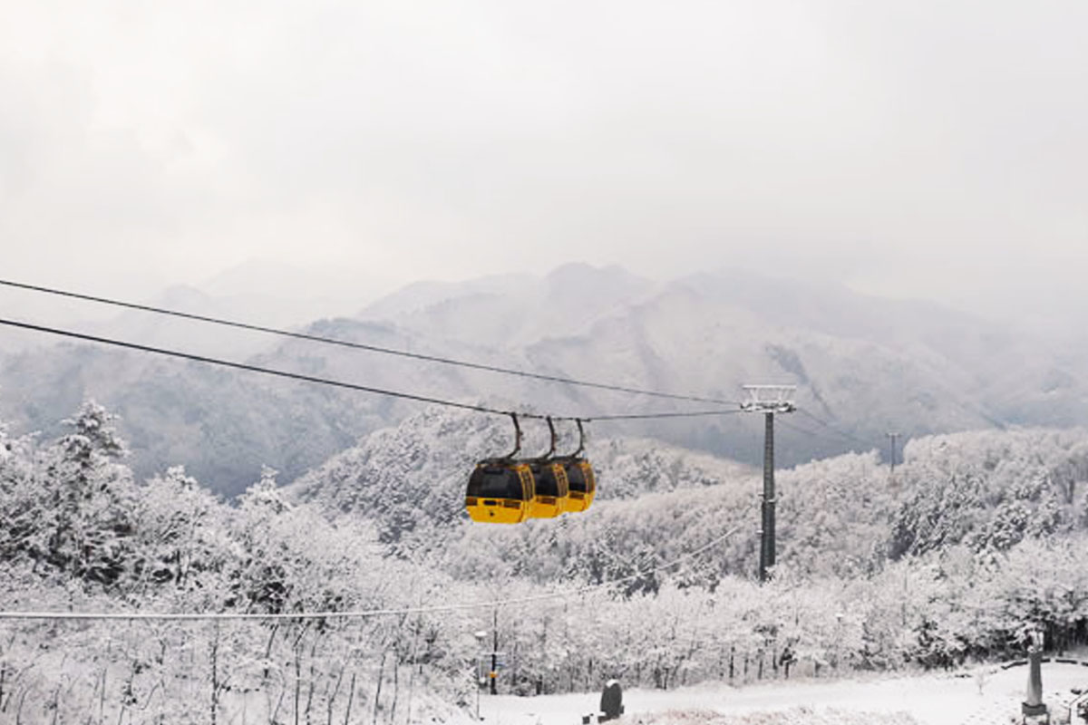 태백산 365 케이블카