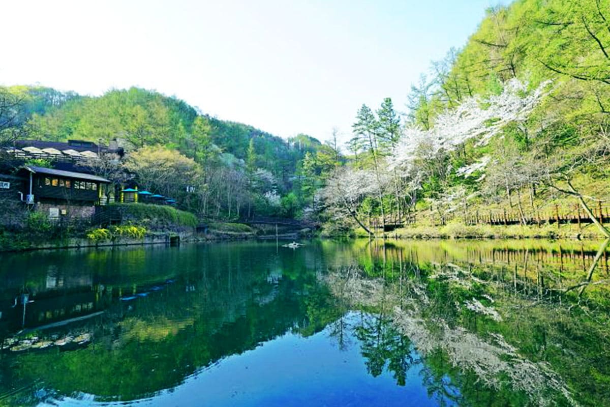 만인산자연휴양림 풍경