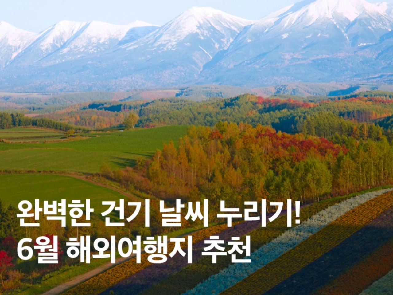 해외 | 검색결과 - ZUM 허브