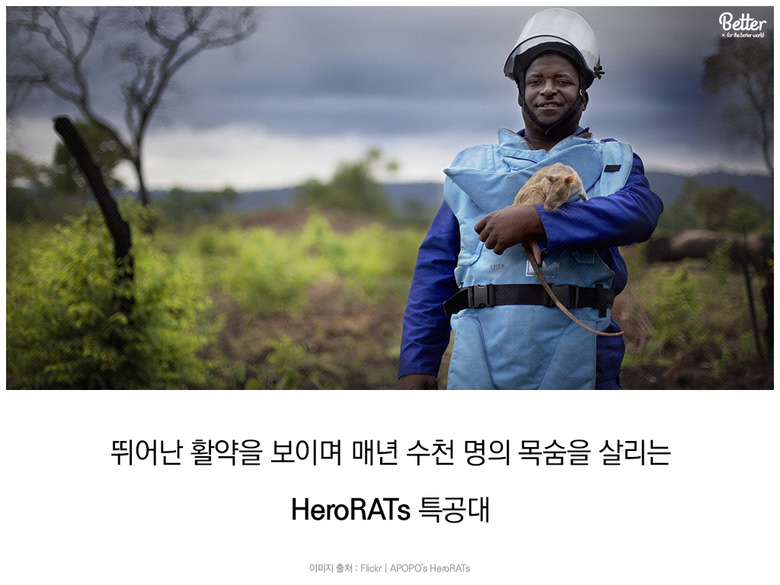 hero RATs