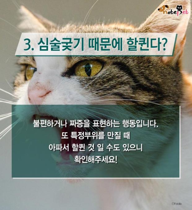 냥이랑 살면 아기 수명이 준다?