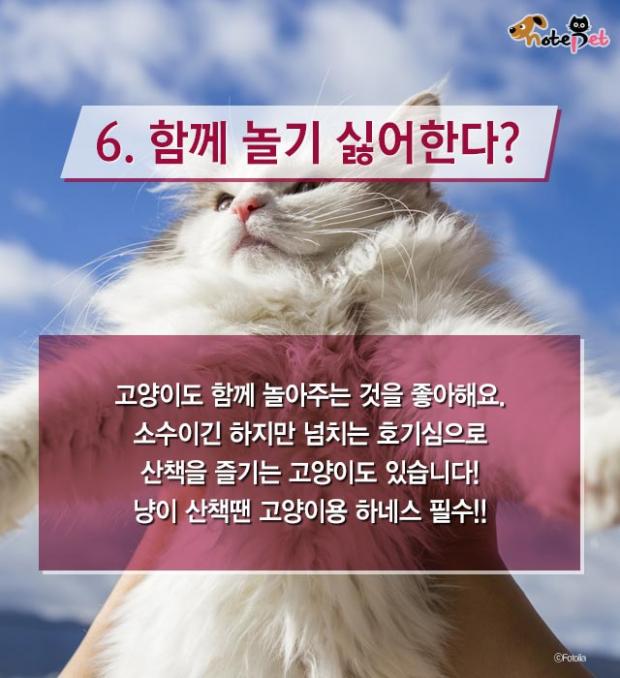 냥이랑 살면 아기 수명이 준다?