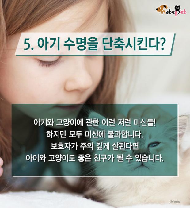 냥이랑 살면 아기 수명이 준다?