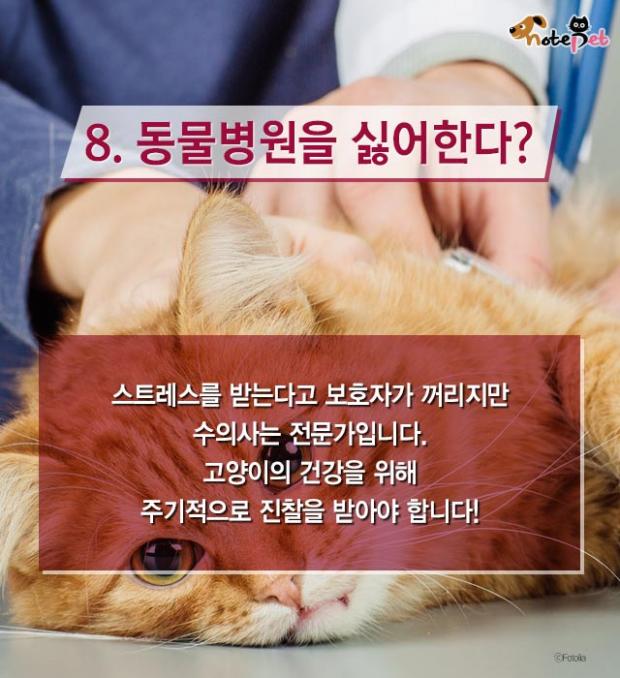 냥이랑 살면 아기 수명이 준다?