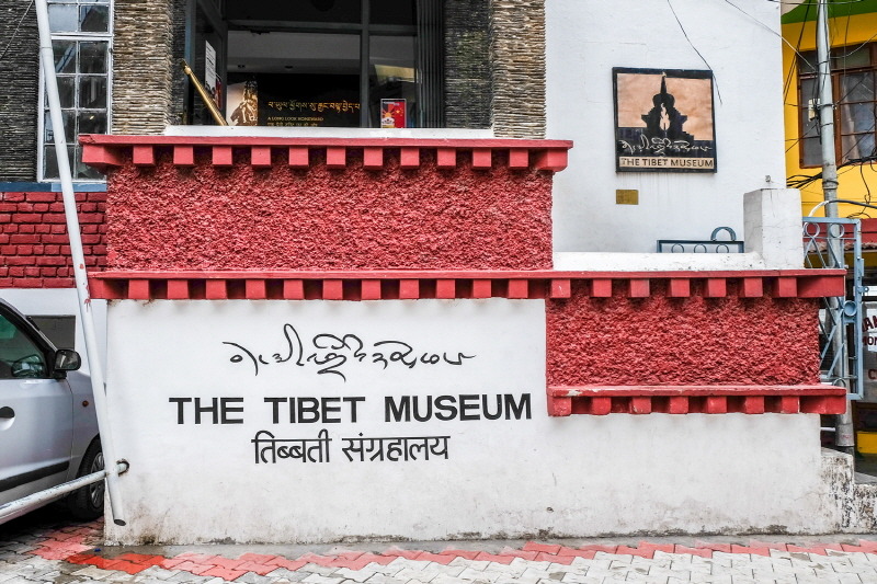 인도에서 외치는 '프리 티벳'