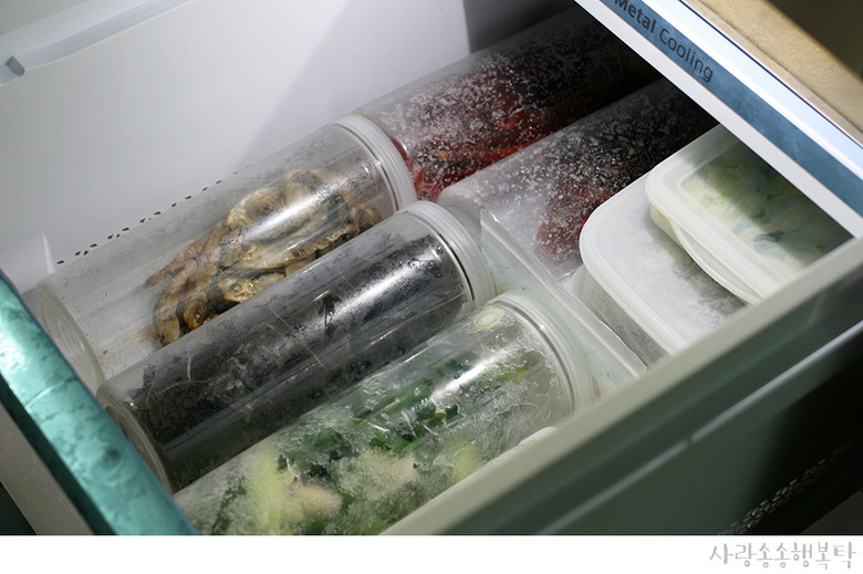 대파보관법 냉장, 냉동 살림노하우 공