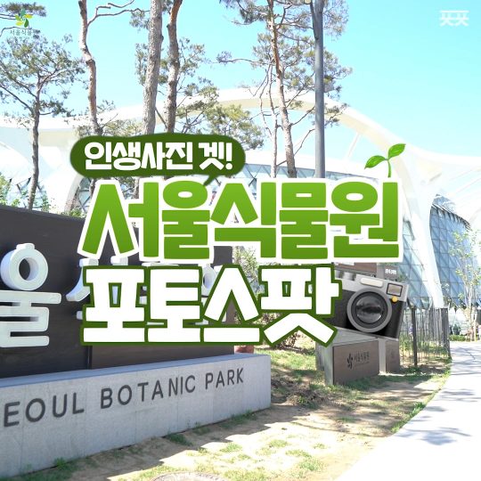 서울식물원 포토스팟 Best 4! 여
