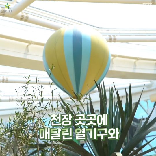서울식물원 포토스팟 Best 4! 여