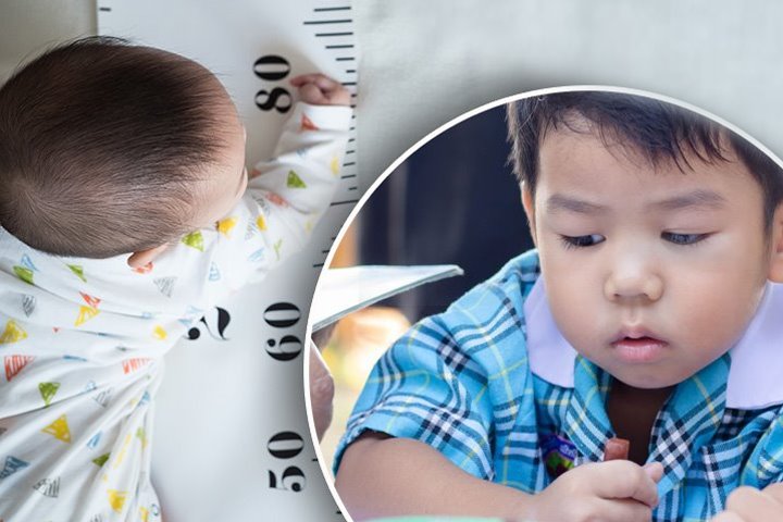 180은 기본, 장신 재벌 총수들이 많은 이유는 바로 이것입니다.