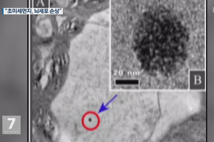 대한민국 뒤덮은 미세먼지 사태 속에서 떼돈 벌어들인 회사들입니다