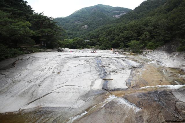 한국일보