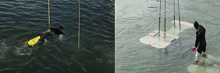 "하루 200 벌지만, 남들보다 죽을 확률 40배 높은 직업입니다"