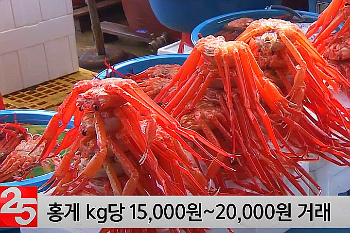 ‘시세’라 붙이고 비싸게 팔던 홍게 가격, 요즘 왜이런가 했더니…