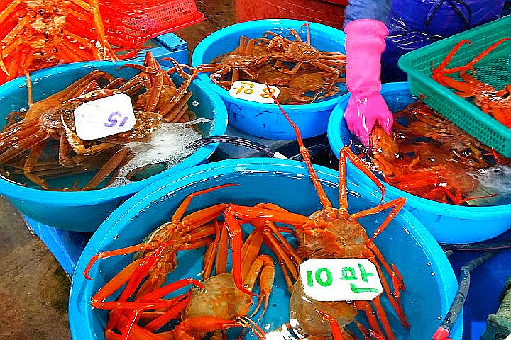 ‘시세’라 붙이고 비싸게 팔던 홍게 가격, 요즘 왜이런가 했더니…