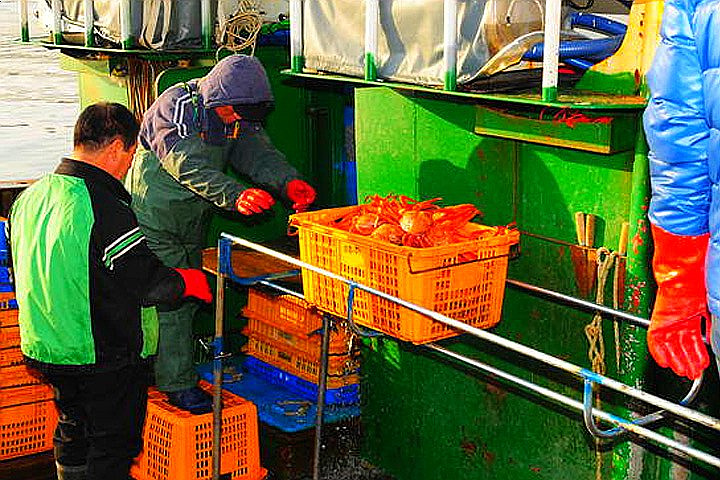 ‘시세’라 붙이고 비싸게 팔던 홍게 가격, 요즘 왜이런가 했더니…