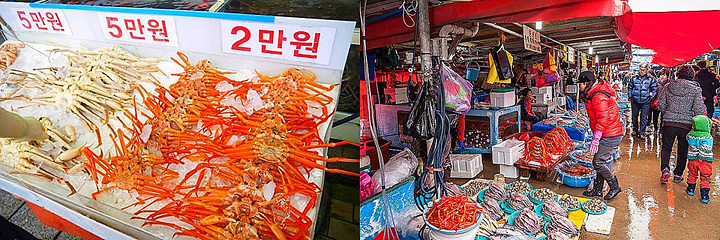 ‘시세’라 붙이고 비싸게 팔던 홍게 가격, 요즘 왜이런가 했더니…