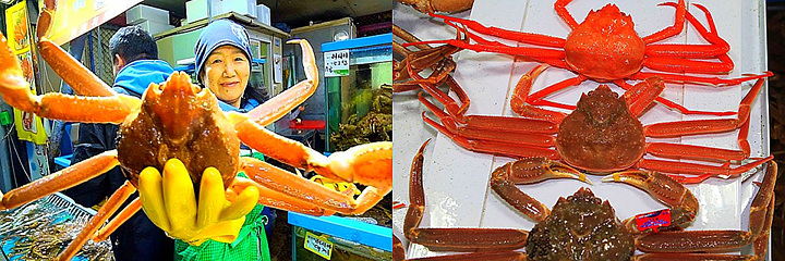 ‘시세’라 붙이고 비싸게 팔던 홍게 가격, 요즘 왜이런가 했더니…