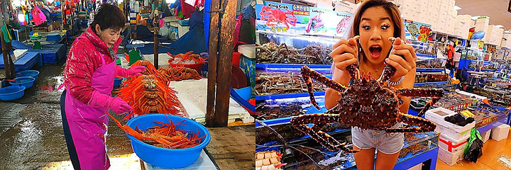 ‘시세’라 붙이고 비싸게 팔던 홍게 가격, 요즘 왜이런가 했더니…
