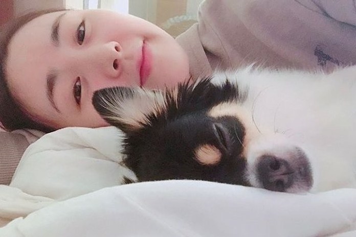 파파라치 언니가 결혼 사진에 등장한 댕댕이, 알고보니…