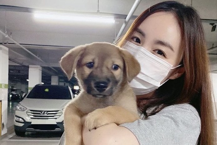 파파라치 언니가 결혼 사진에 등장한 댕댕이, 알고보니…