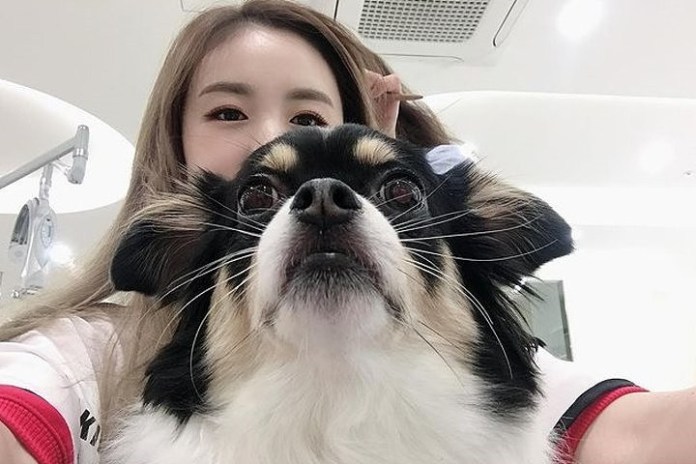 파파라치 언니가 결혼 사진에 등장한 댕댕이, 알고보니…
