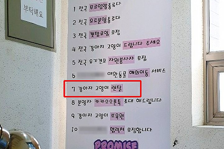 댕냥이 체험 위해 ‘대여’ 해준다는 동물보호단체의 최후