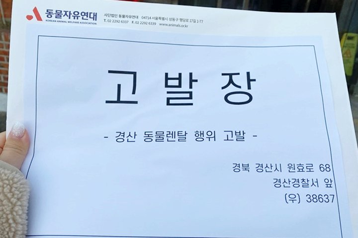 댕냥이 체험 위해 ‘대여’ 해준다는 동물보호단체의 최후