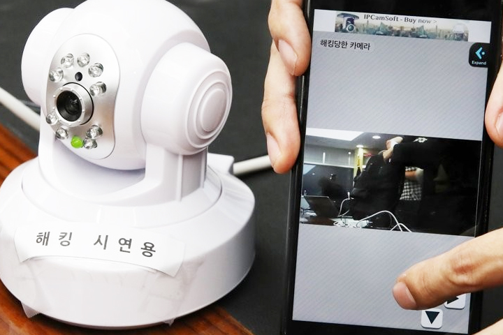 “너, 나 보고 있냐” 카메라 알아챈 댕댕이가 보인 행동