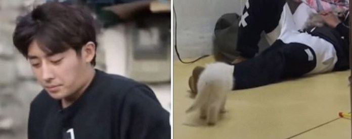 ‘털 빠진다’라고 얘기하면 귀신같이 알고 뒤돌아보는 개냥이