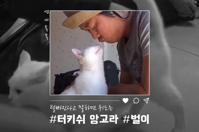 ‘털 빠진다’라고 얘기하면 귀신같이 알고 뒤돌아보는 개냥이